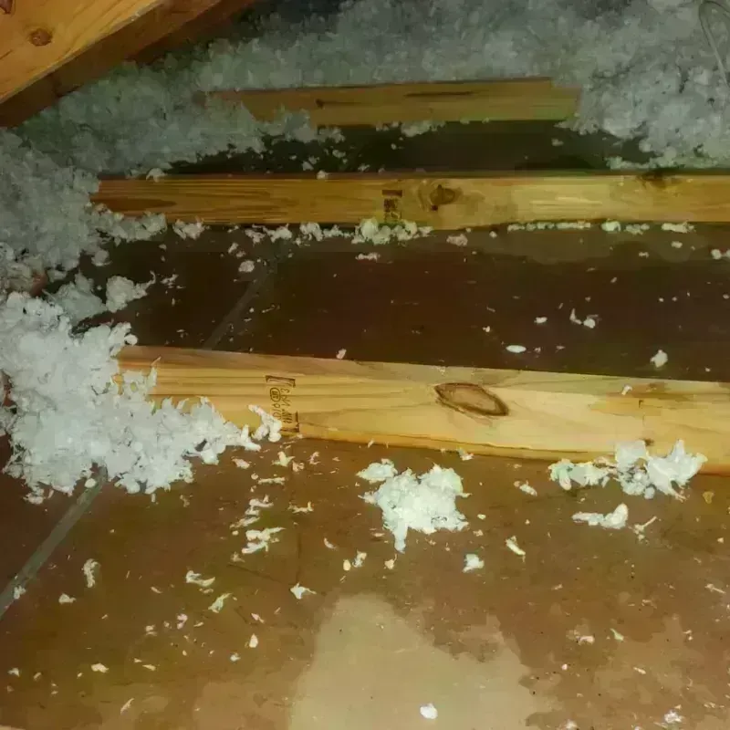 Attic Water Damage in Virginia City, NV