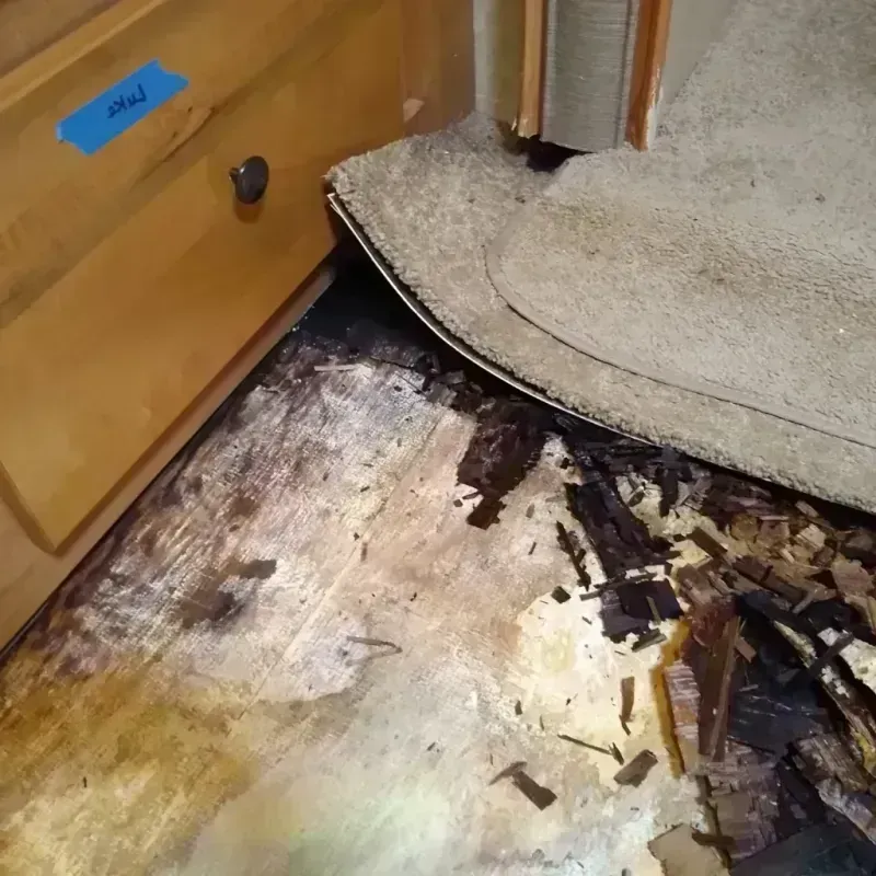 Best Wood Floor Water Damage Service in Virginia City, NV